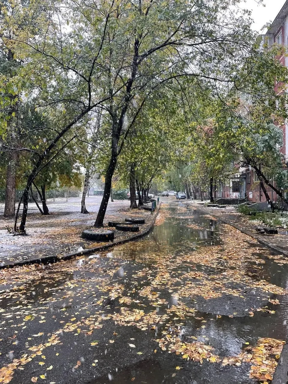 В Пионерском начало сентября ожидается аномально теплым. Уже с 3 сентября у нас будет в...