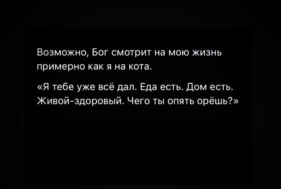 😂😂😂