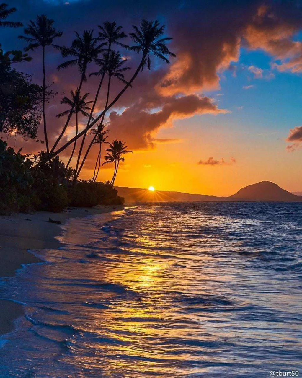 Восточный Гонолулу, Гавайи 🌴🌅
