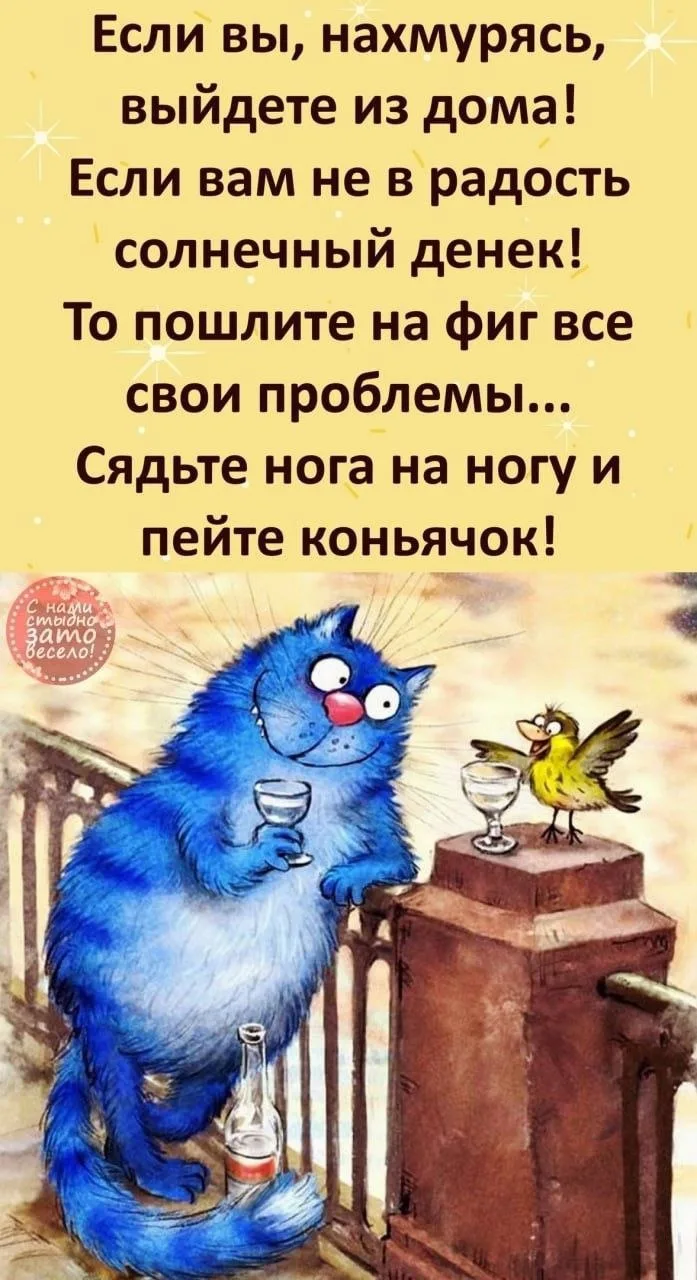 ✨ Тёплые послания