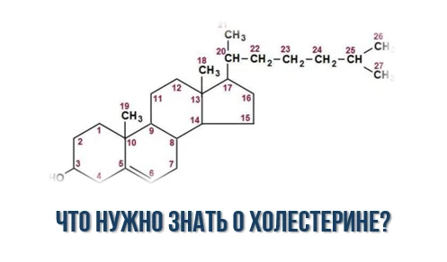 «У вас повышенный холестерин» — эта фраза из уст врача у многих вызывает тревогу. Мы ср...