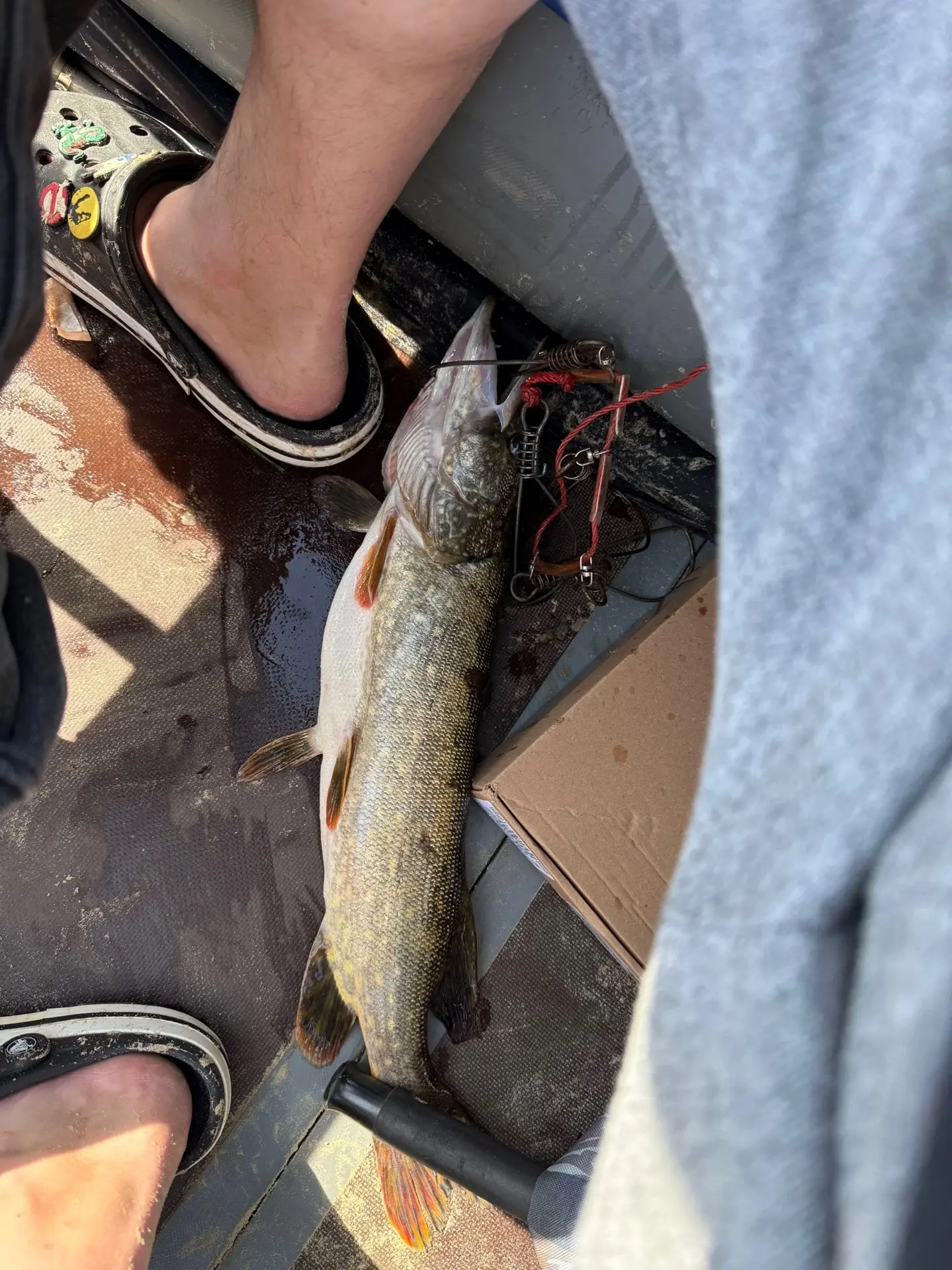 Всех с праздником! Открыли сезон рыбалки с сыном 🎣