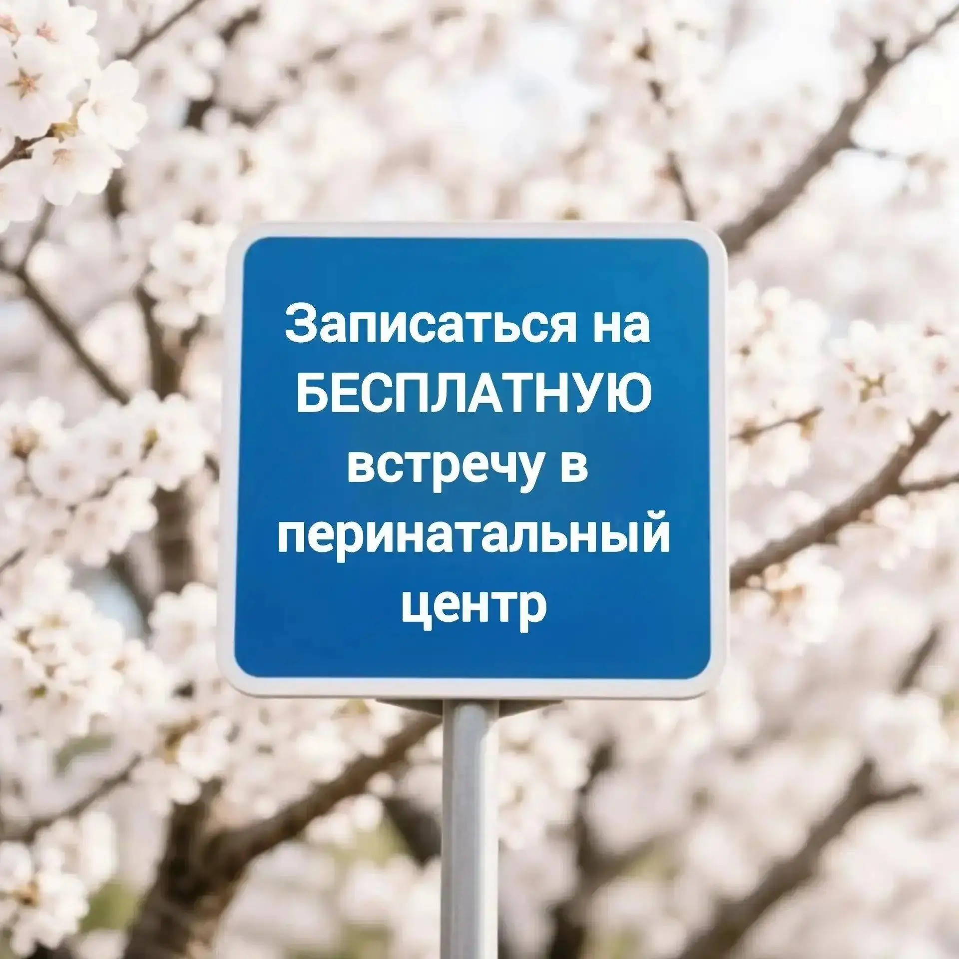 🏥       Расписание ближайших БЕСПЛАТНЫХ встреч с экспертами Приморского краевого перин...
