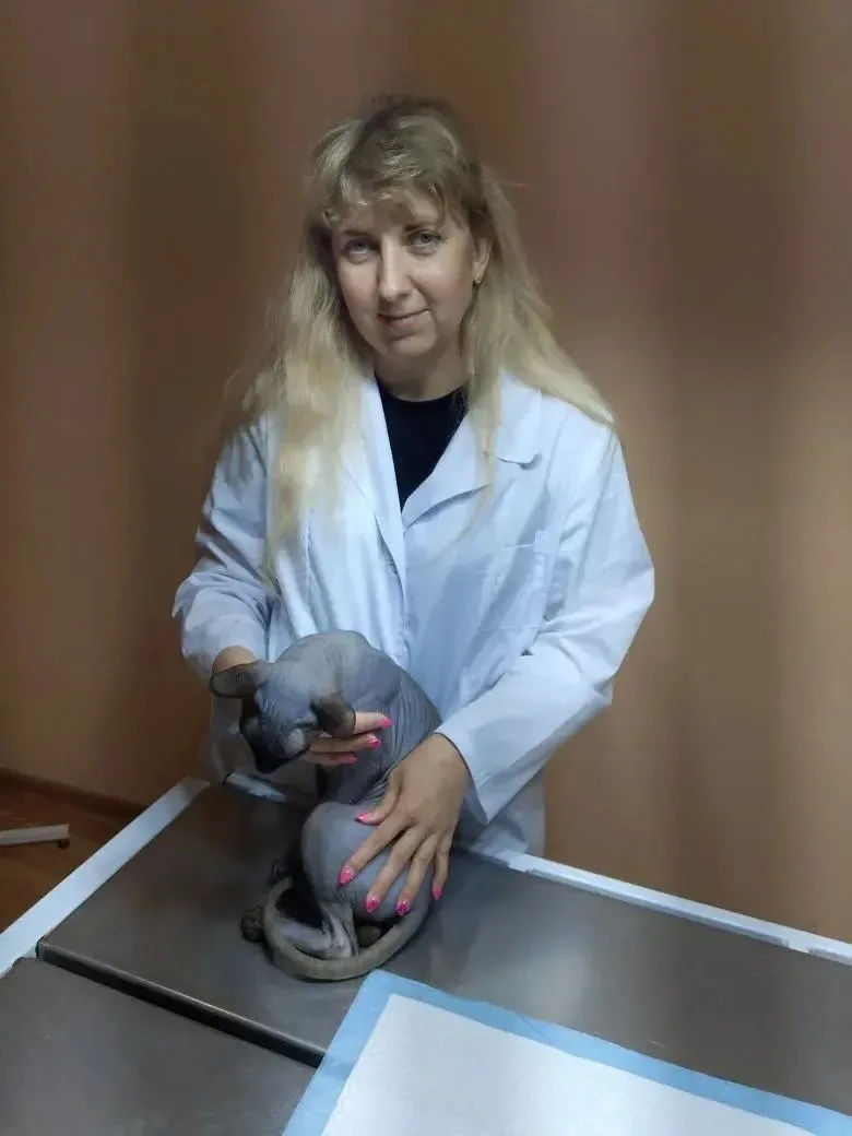 Ельнинский филиал активно проводит бесплатную вакцинацию домашних питомцев против бешен...