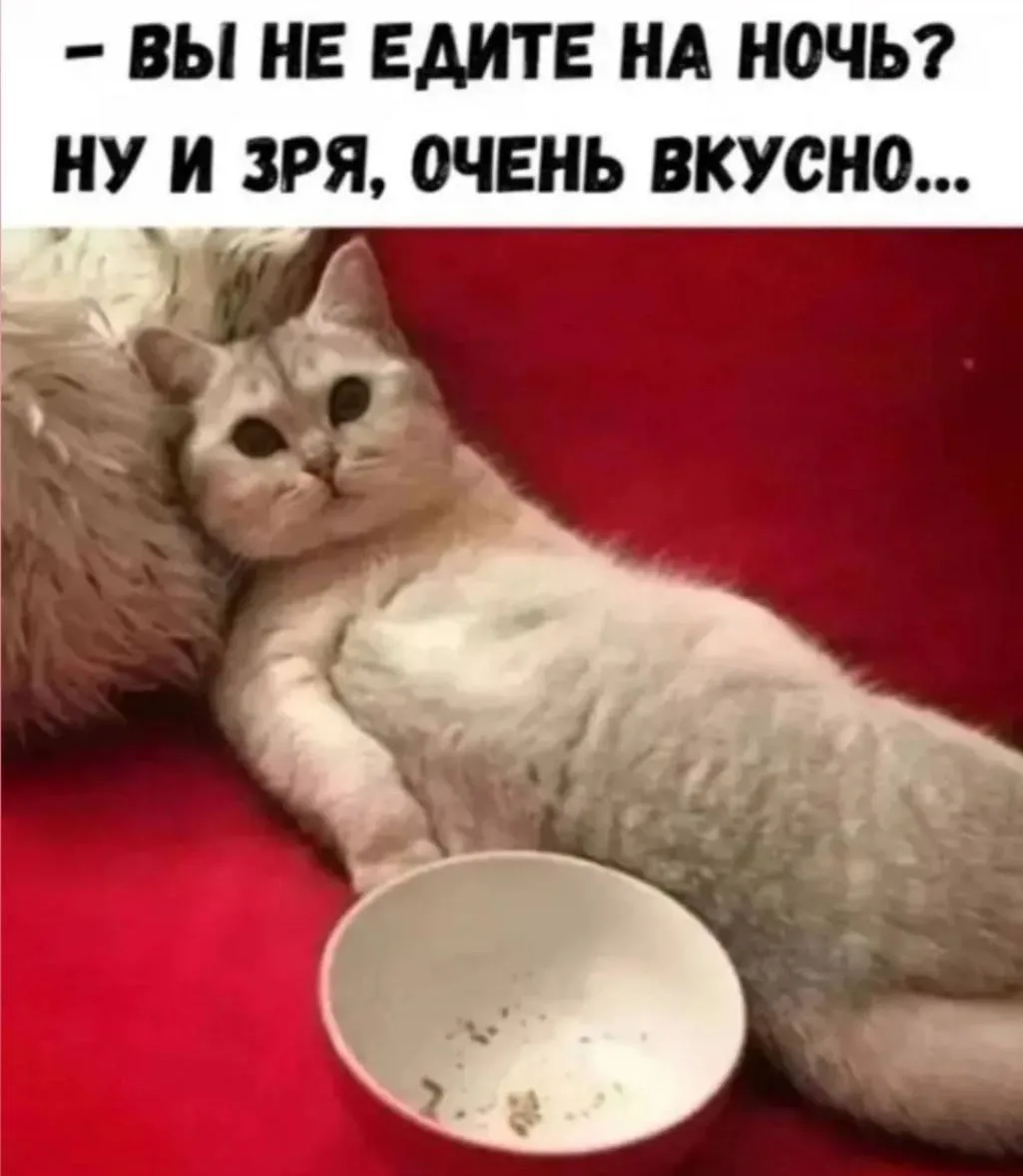 Ведьмин котелок 🧙 Подписаться