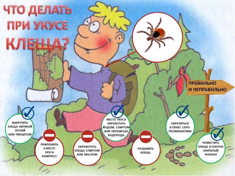 Проверьте, какие будут ваши действия?