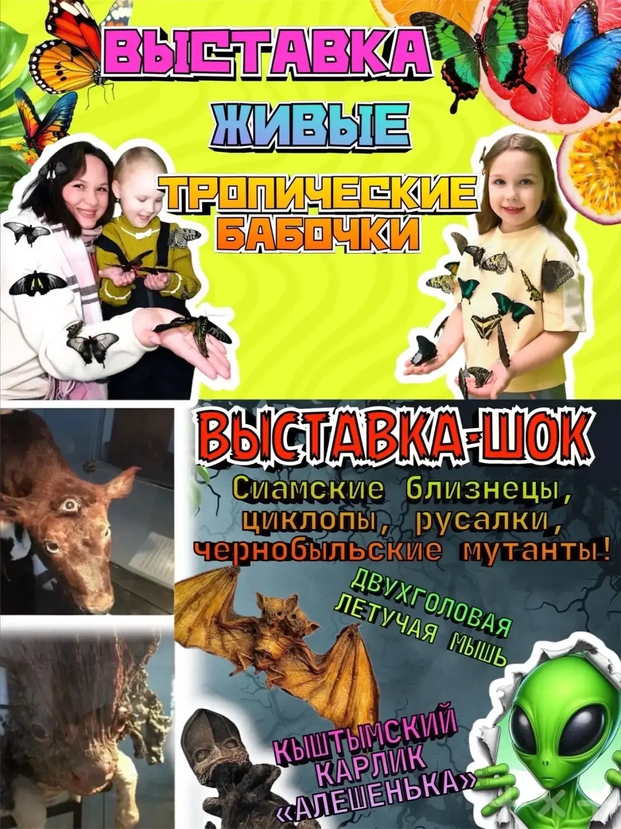🦋 ГОТОВЫ УВИДЕТЬ НЕЧТО НЕОБЫЧНОЕ? 👀