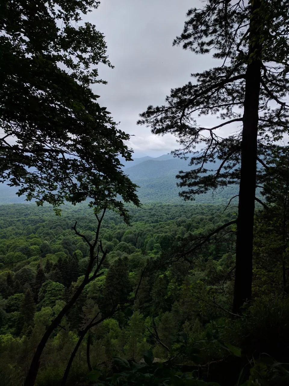 🫶🏻🏞️ Адыгея: край гор, водопадов и настоящего кавказского гостеприимства!