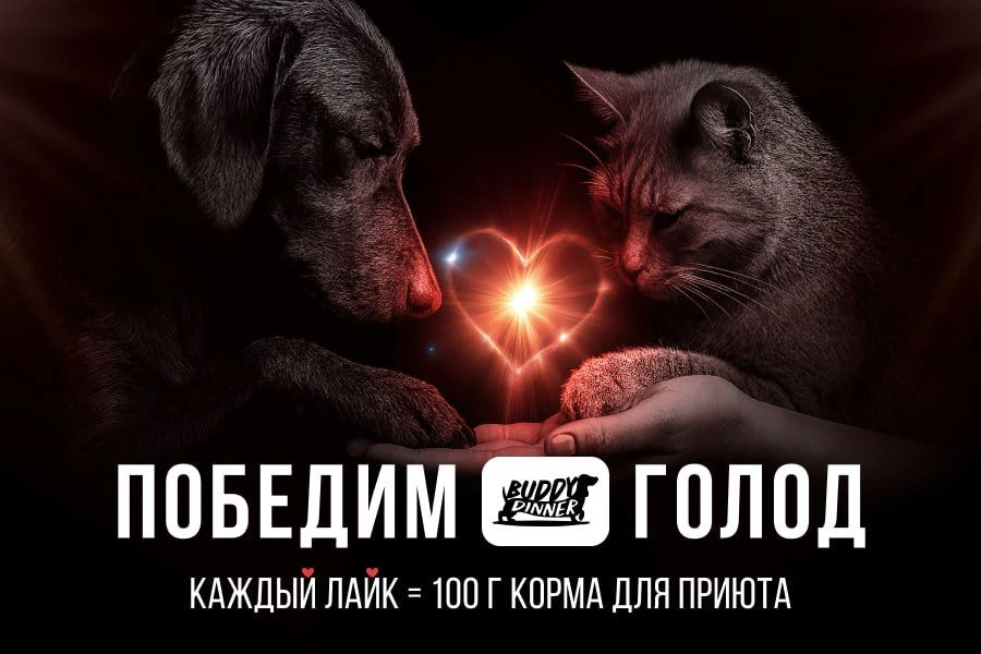 Дорогие подписчики!  Напоминаем Вам что 30.03.2026 мы подведём итоги благотворительной программы "По