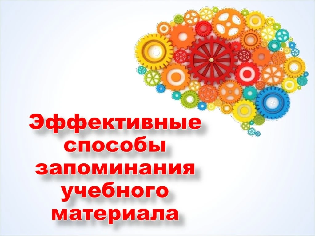 📚🧠 Как выучить информацию за ночь? Рабочие лайфхаки (проверено на котах) 🐱☕  Ок, признавайся: у тебя