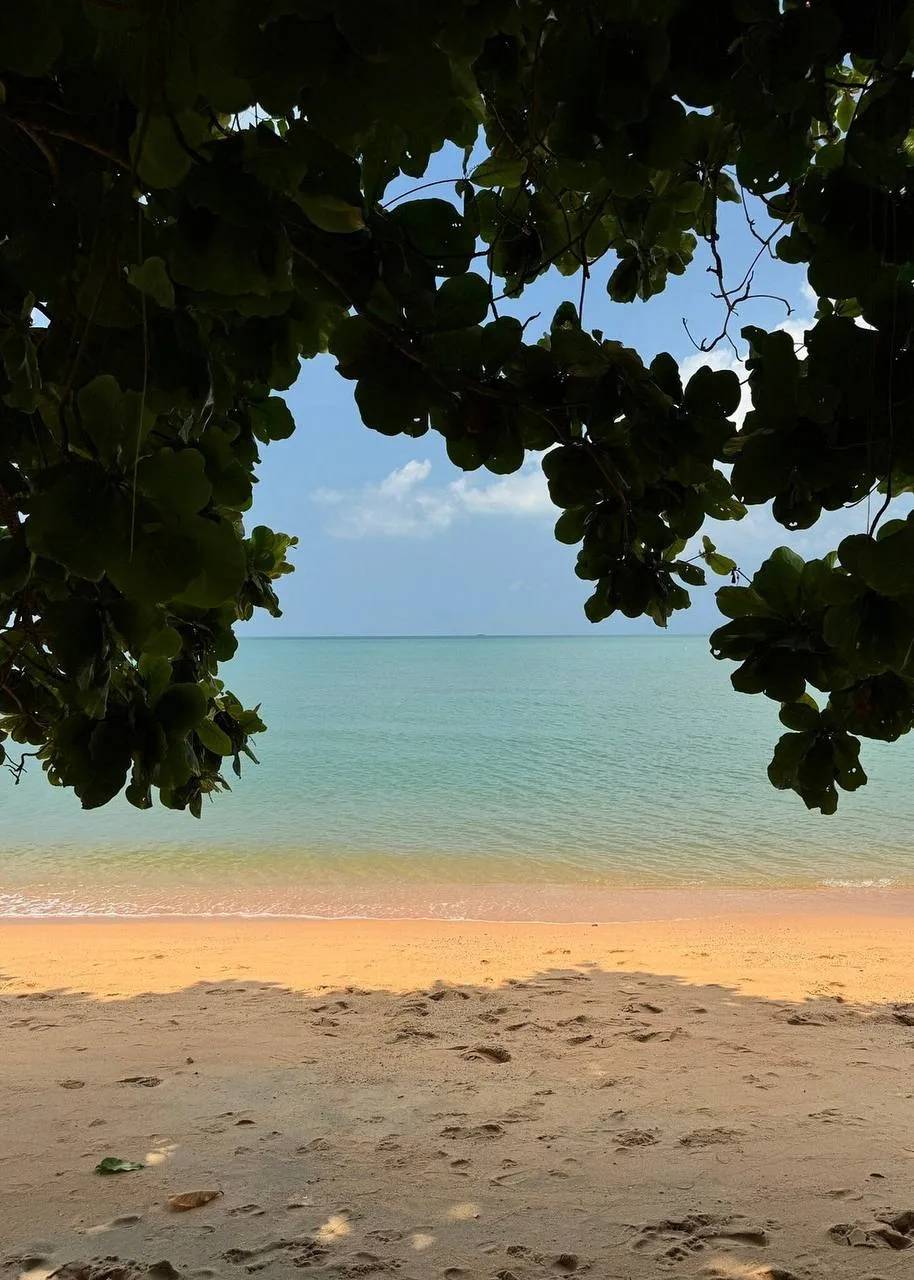 ОДИН ИЗ САМЫХ НЕДООЦЕНЁННЫХ ОТЕЛЕЙ ПАТТАЙИ 🇹🇭