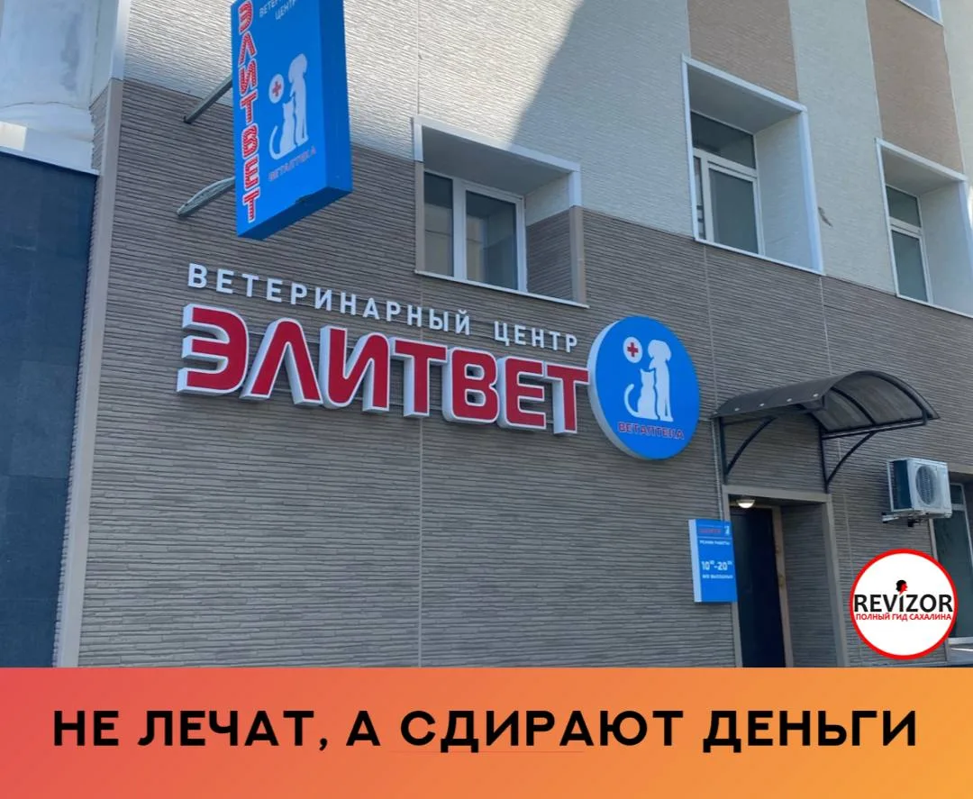 Думали, что собака беременная; поехали на узи — оказалось, что щенят нет, зато обнаружили кисту матк
