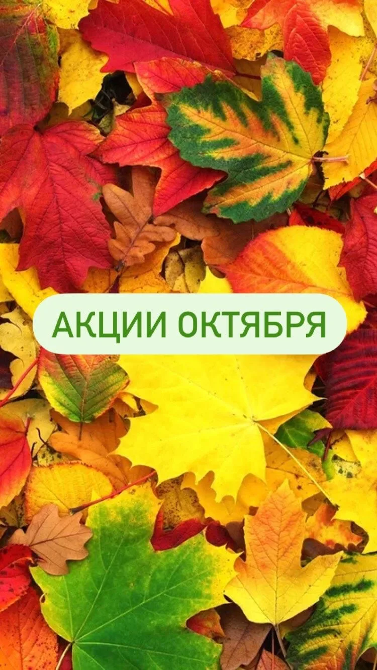 💝💝💝СПЕЦИАЛЬНЫЕ ПРЕДЛОЖЕНИЯ в октябре💖💖💖:
