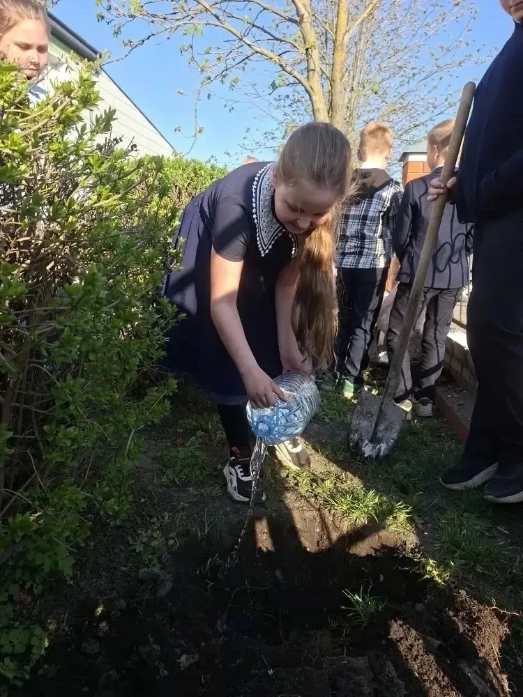 📍 В преддверии великого праздника — Дня Победы — в нашей гимназии появилась новая добрая традиция. У