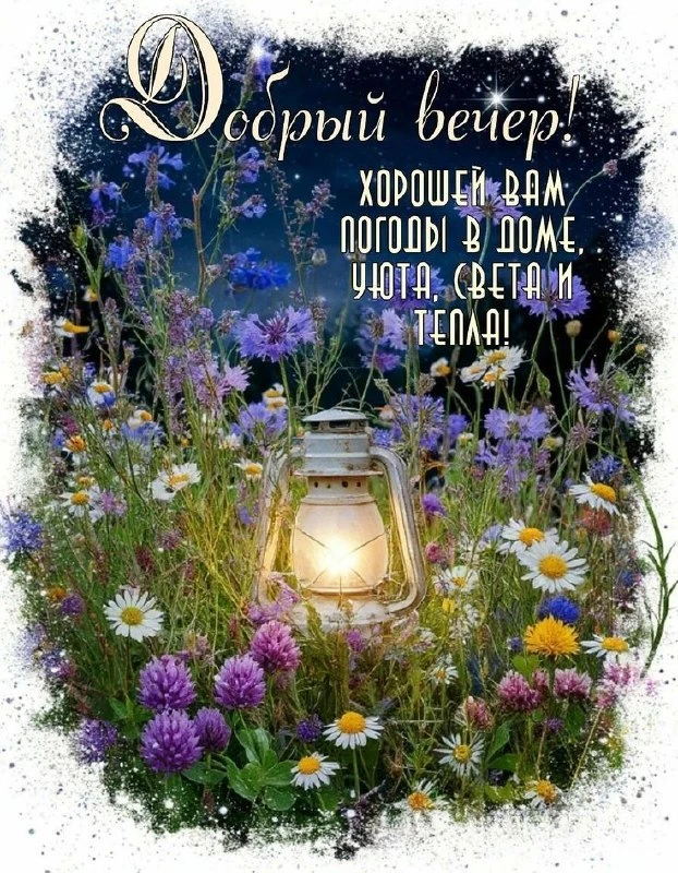Добрый вечер, дорогие 🕊