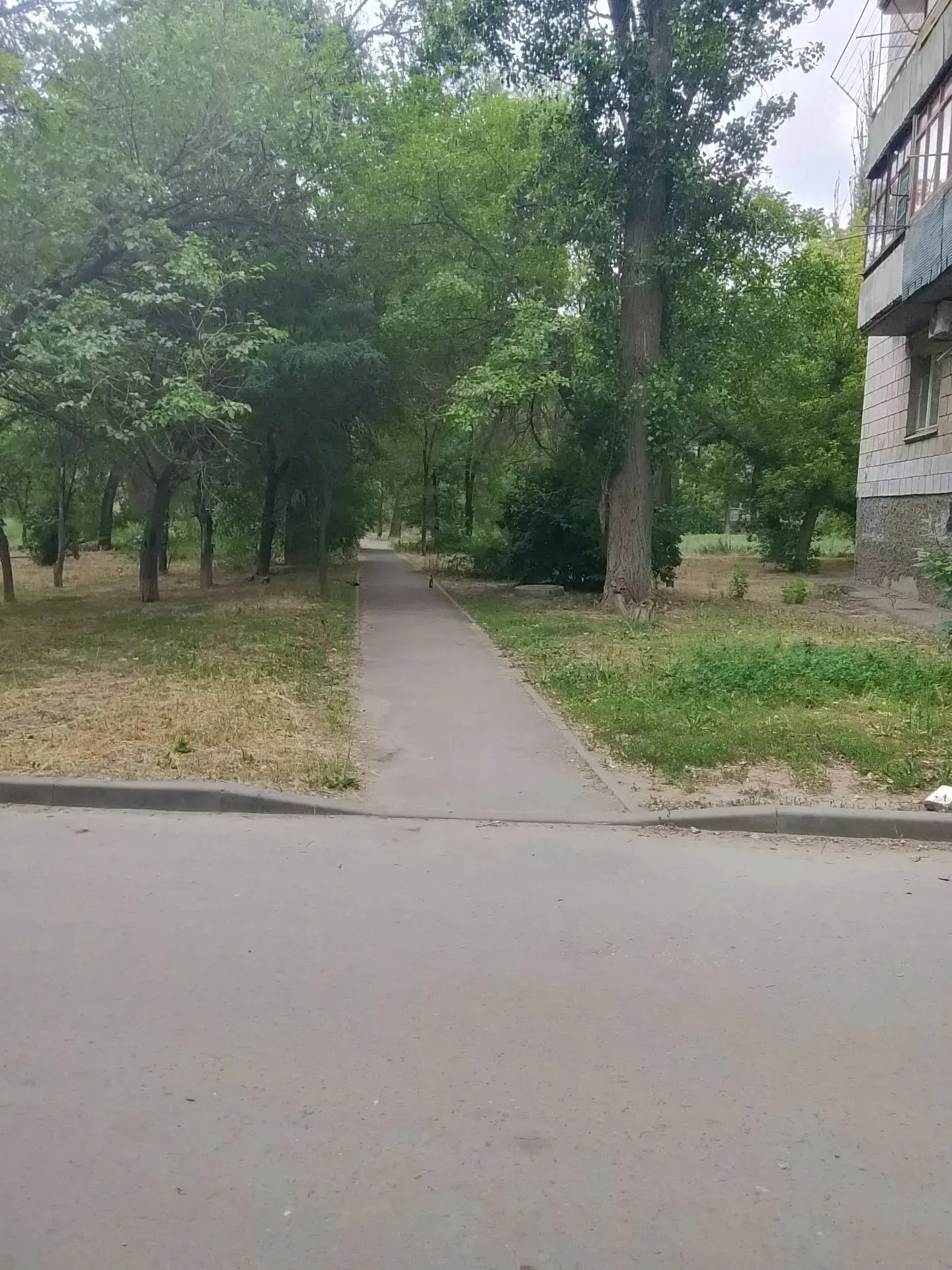 Покос травы ул 64 Армии 22 б