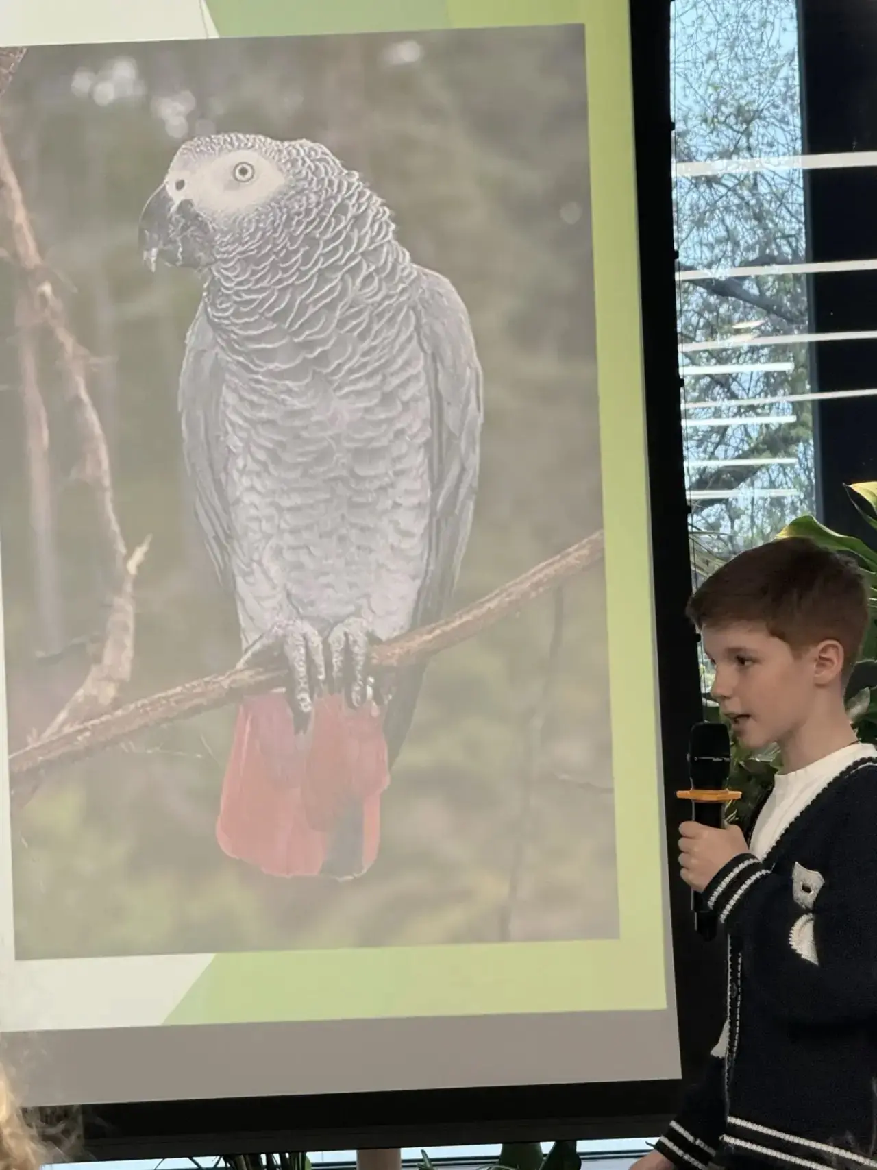 Первые победы на конференции 🔥  🦜 Наш Саша, ученик 5 класса «Э», под руководством Ирины Валерьевны К