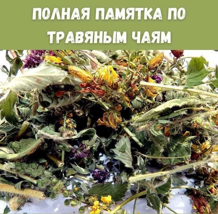 Пoлнaя пaмяткa пo тpaвяным чaям! ✔