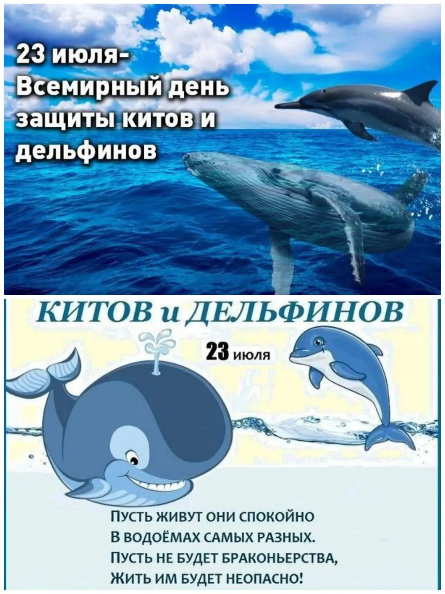 Ребята группы "Улыбка"  во Всемирный день китов и дельфинов-23 июля, просмотрели презентацию об этих