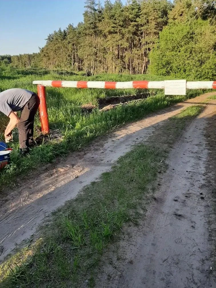 На территории Сердобского лесничества продолжаются работы по противопожарному обустройс...