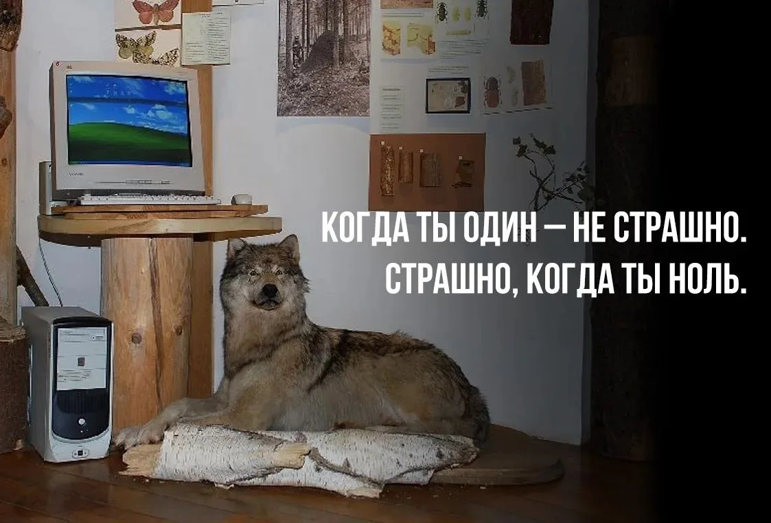 КОРОМЫСЛО