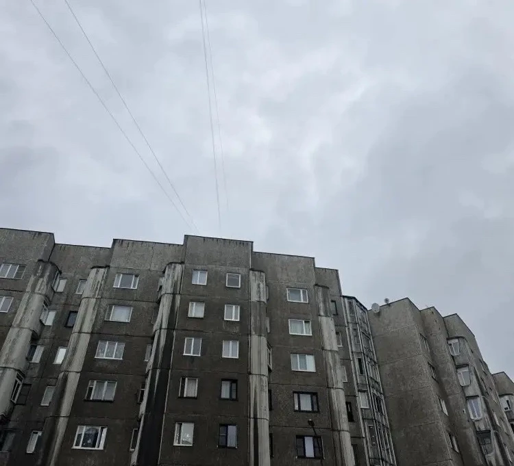 Специалисты городских служб совместно с представителями провайдера цифровых услуг «Ростелеком» аккур