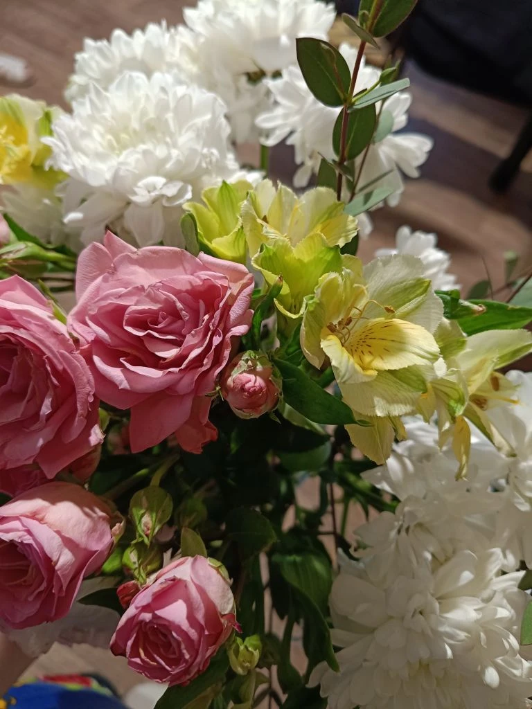 Решила сегодня сфоткать свои цветочки🌱