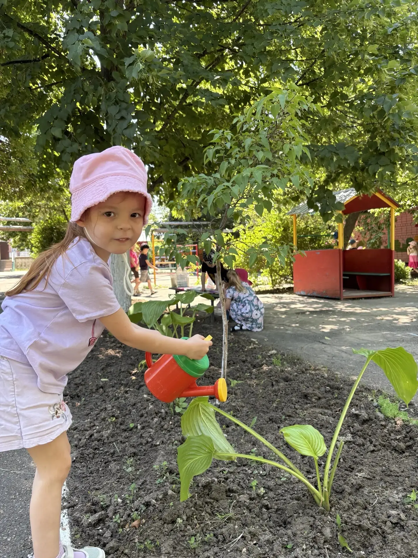 ☀️Маленькие садоводы в детском саду!🌼
🌱Благодаря заботливым рукам наших дошколят, этим летом детск