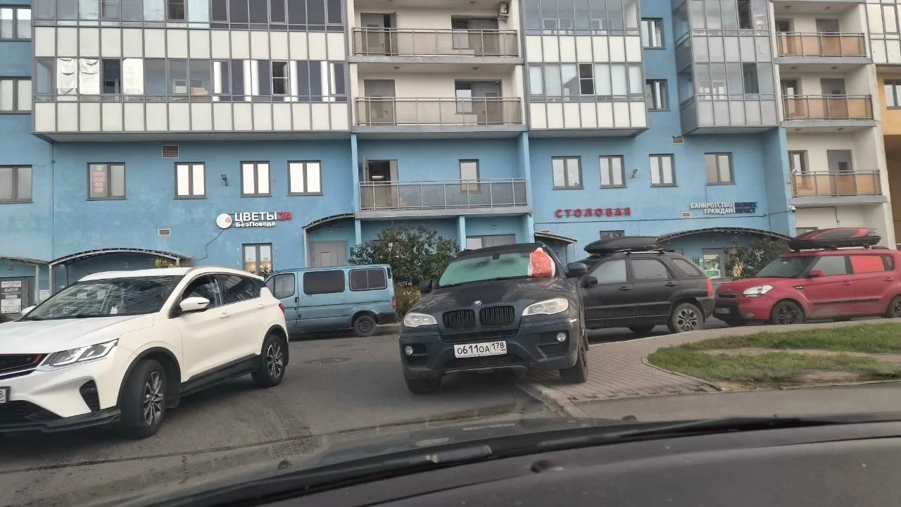 Сразу двух водителей BMW "наказали" в Каменке за последние дни 👀