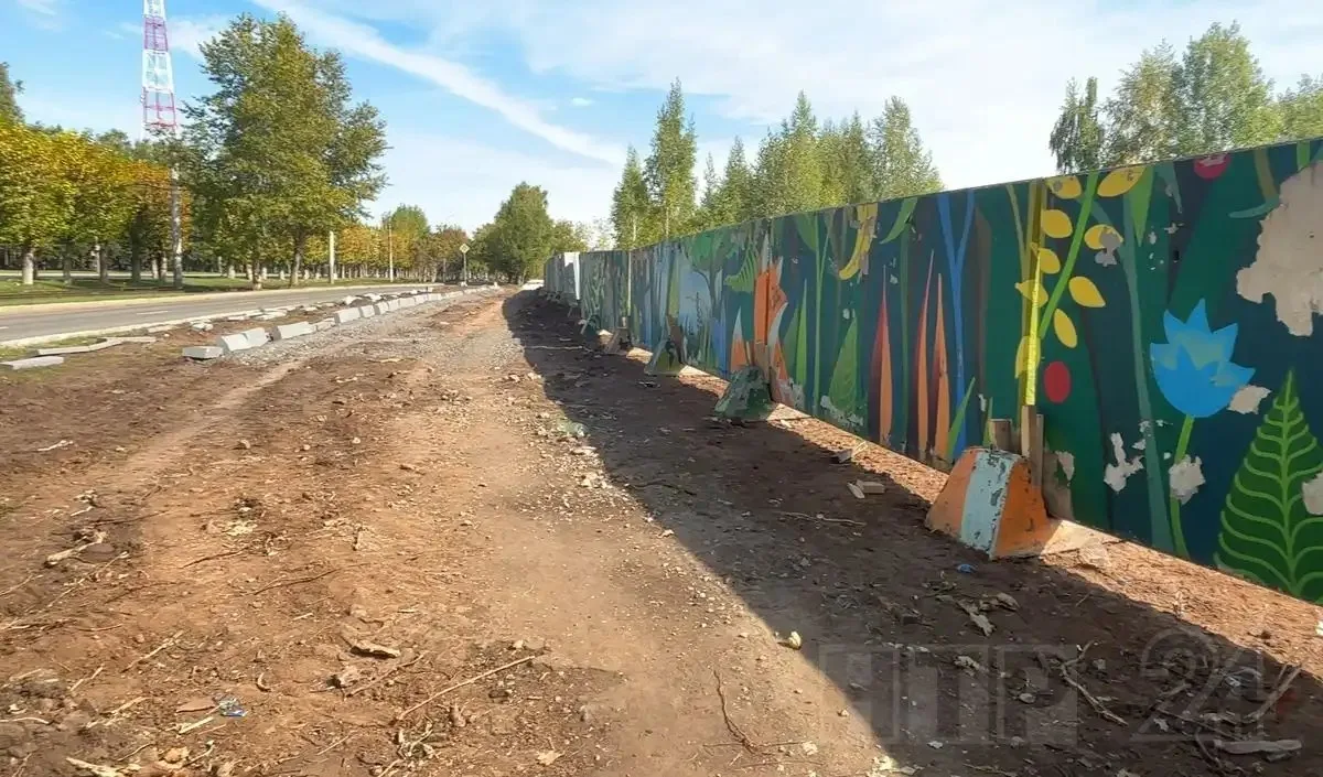 В Нижнекамске активно ведутся работы по ремонту дорожной сети на проспекте Химиков. Сей...