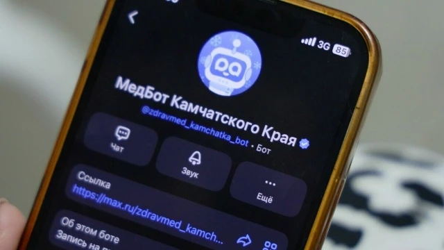 📱 На Камчатке работает медицинский чат-бот в мессенджере MAX

Сервис развивается в рамках федеральн