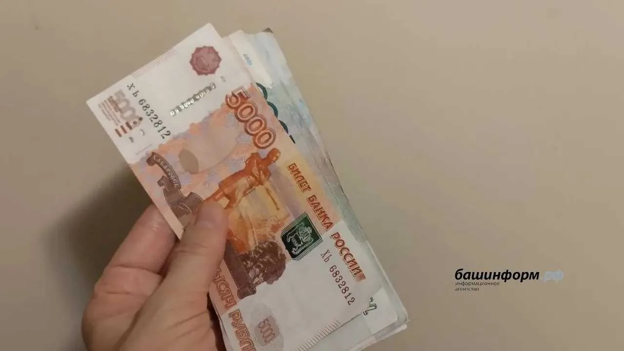 В Башкирии семьи могут получить налоговый кешбэк
Этот возврат оформляется не в налоговой, а в Соцфон