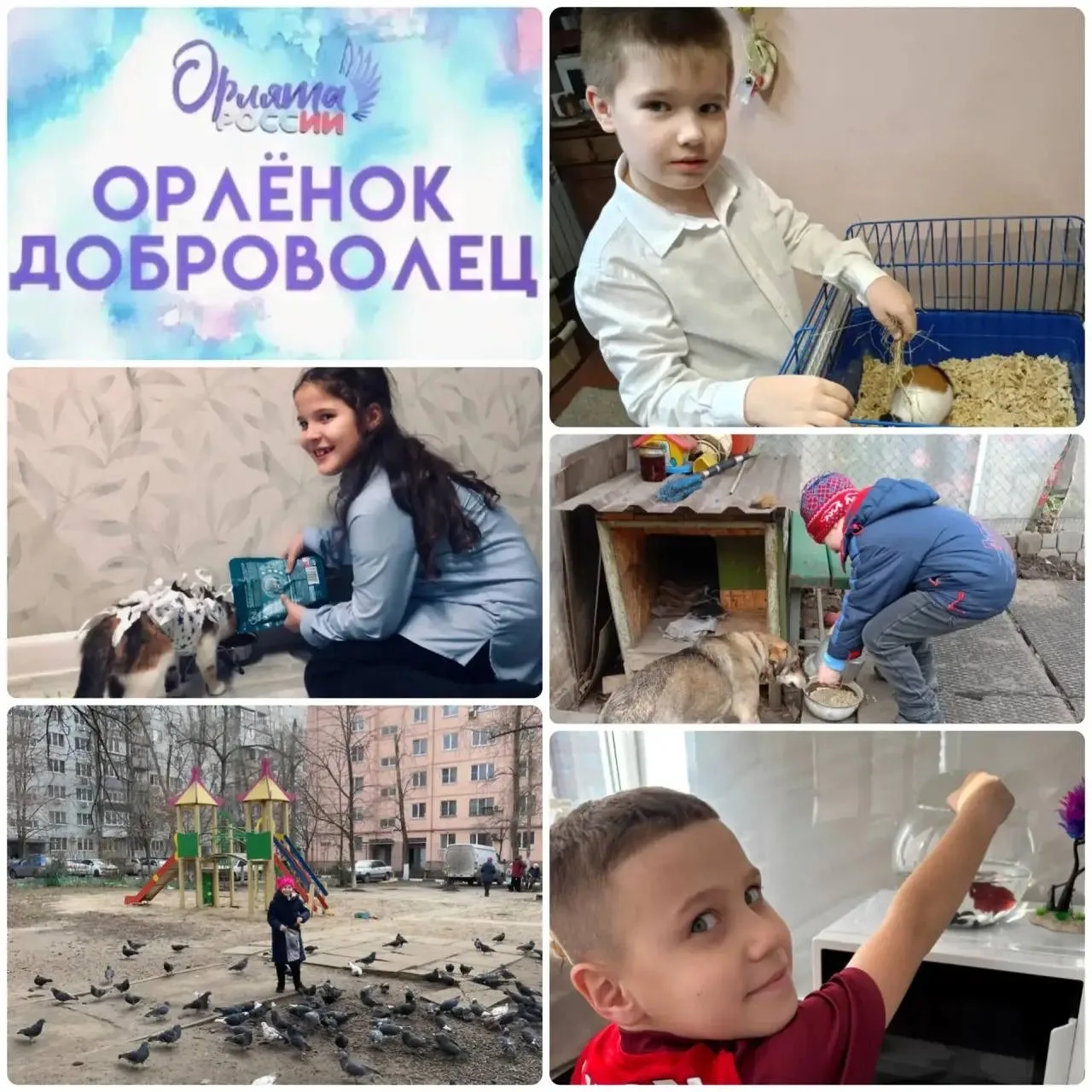 В рамках проекта «Орлята России» для ребят с 1-4 класс завершился 4-ый трек «Орленок-Доброволец». Тр