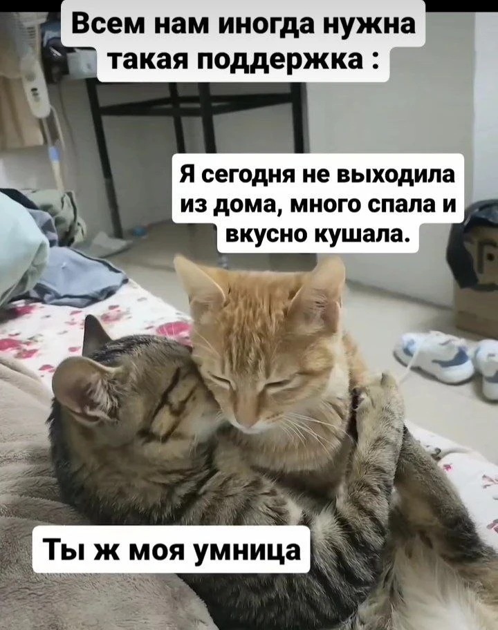 …навеяно совместным отпуском с мужем и 3 детьми)