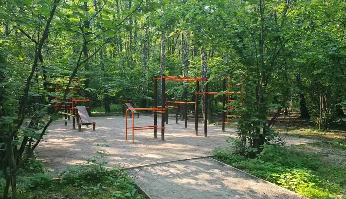 🌲⁠ Зябликовский лесопарк сейчас особенно хорош

Летом Зябликовский лесопарк раскрывается во всей кр