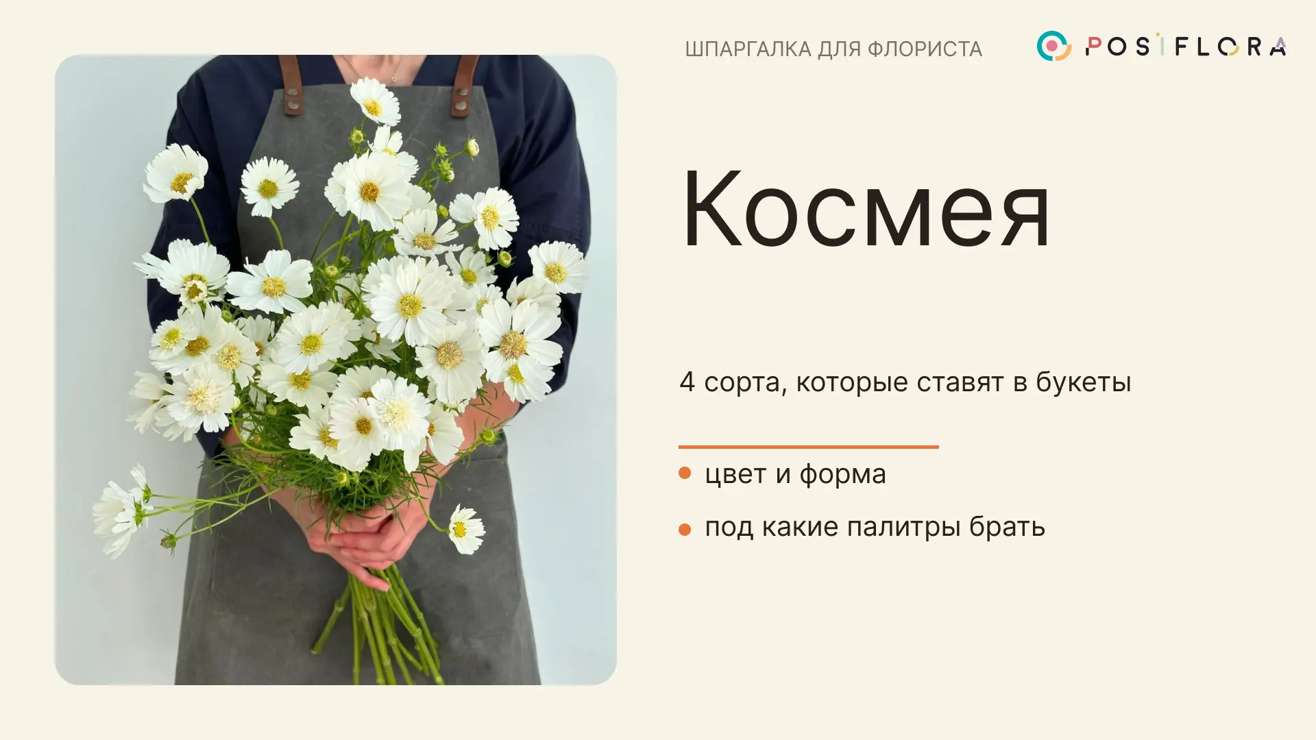 Та самая дачная ромашка, которую флористы открыли заново🔥

Воздушная, с тонкими гнущимися стеблями,