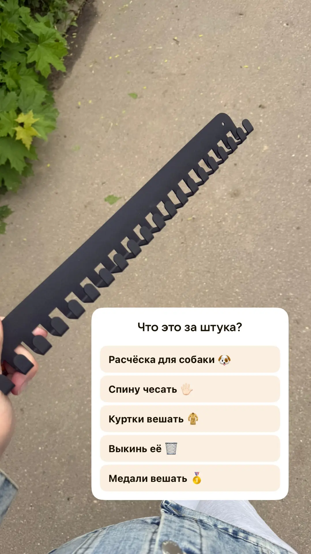 Проголосуйте в комментариях. Поставьте цифру ответа или напишите словами 😊