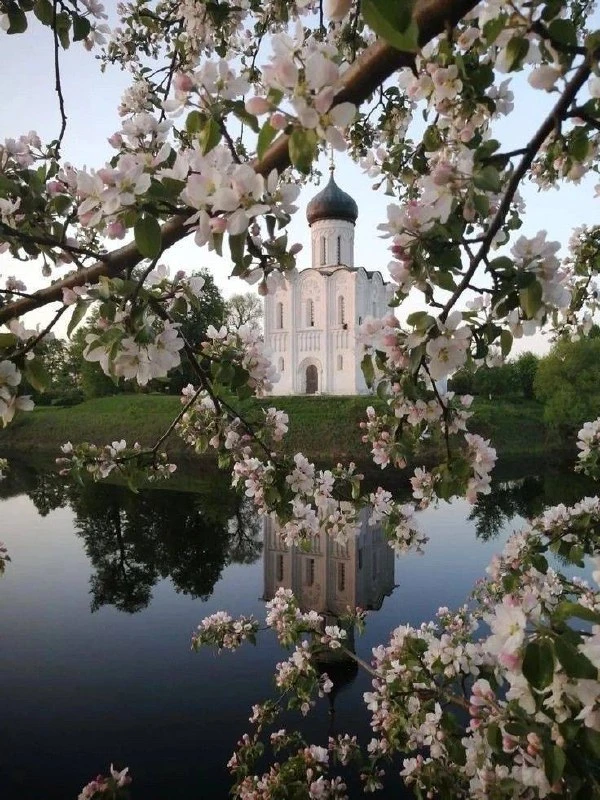 Пс.138:1. Господи, искусил мя еси, и познал мя еси: Ты познал еси седание мое и востание мое.

Проро