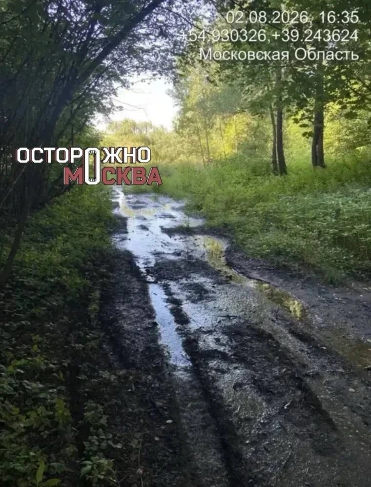 Жители деревни Перевицкий Торжок жалуются на резкий запах.