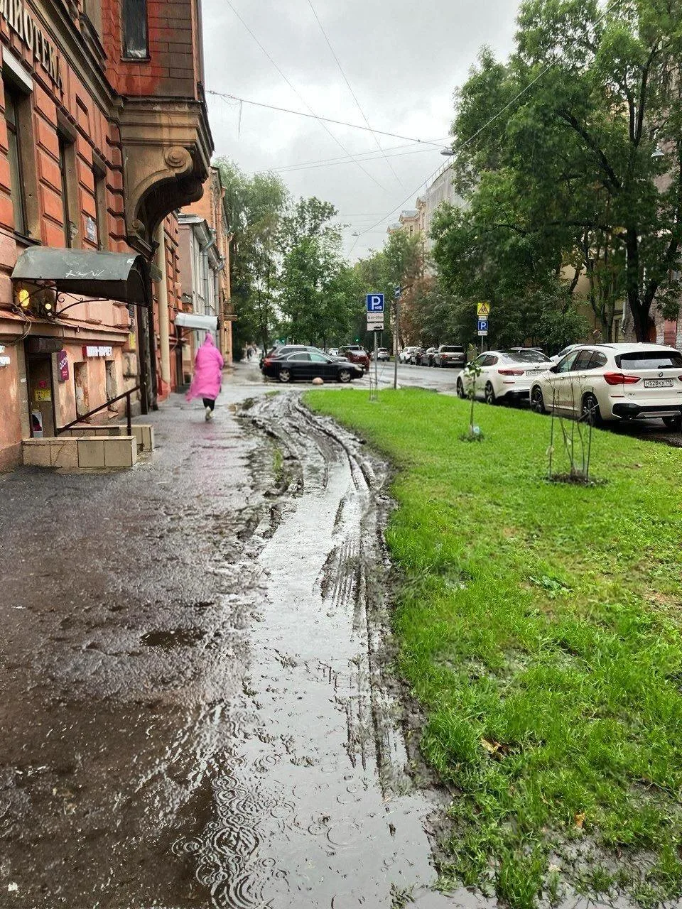 🌿 Жители 13-й линии жалуются, что газоны оказались практически уничтожены. По их слова...