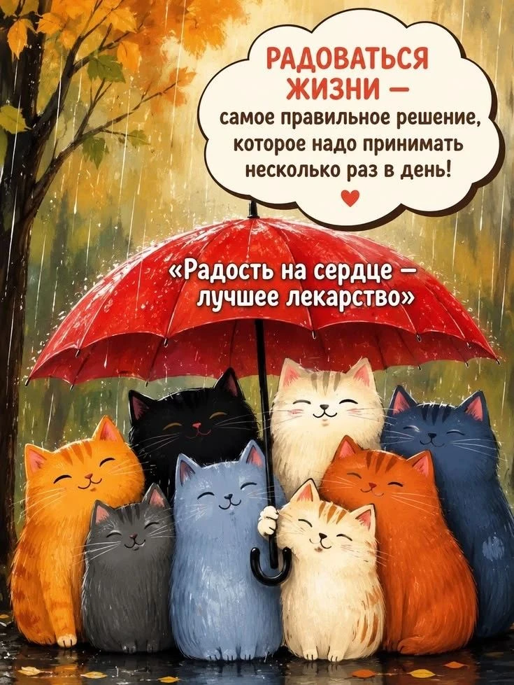 🌼 Притча
     О радости
〰〰〰〰〰〰〰〰

Как-то много дней подряд шёл проливной дождь.
Жители в городе уже