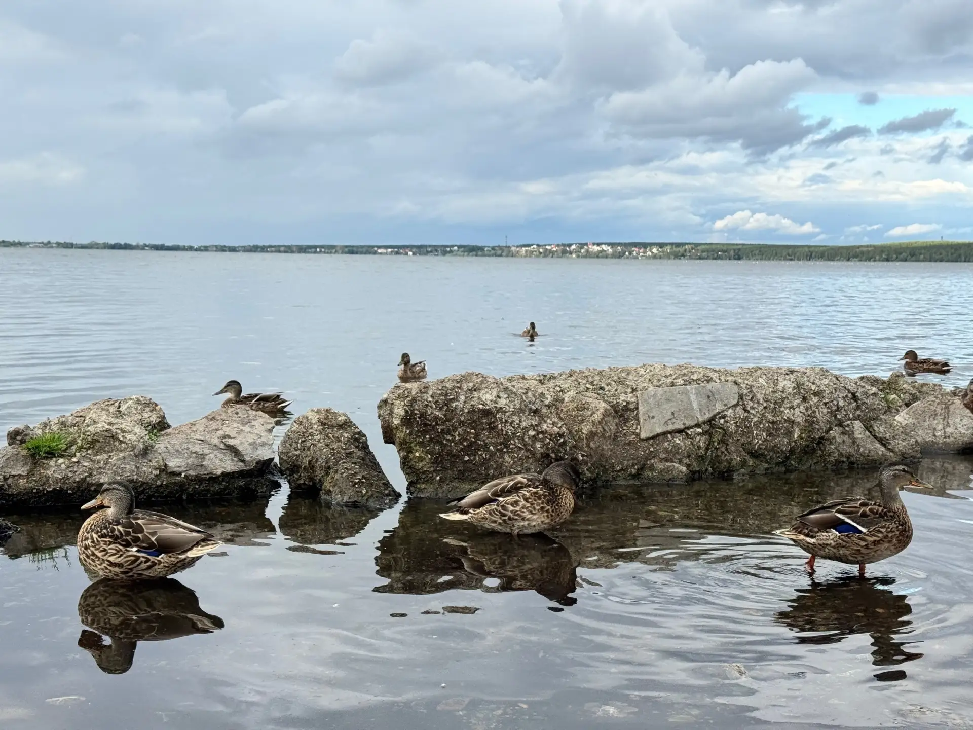 В Свердловской области официально запрещено купаться во всех водоёмах