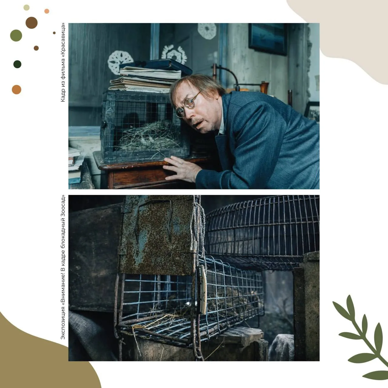 Это реальные декорации из фильма «Красавица»?🎞🦛  Отвечаем: «Да, и это легко проверить!».  🎬На выстав
