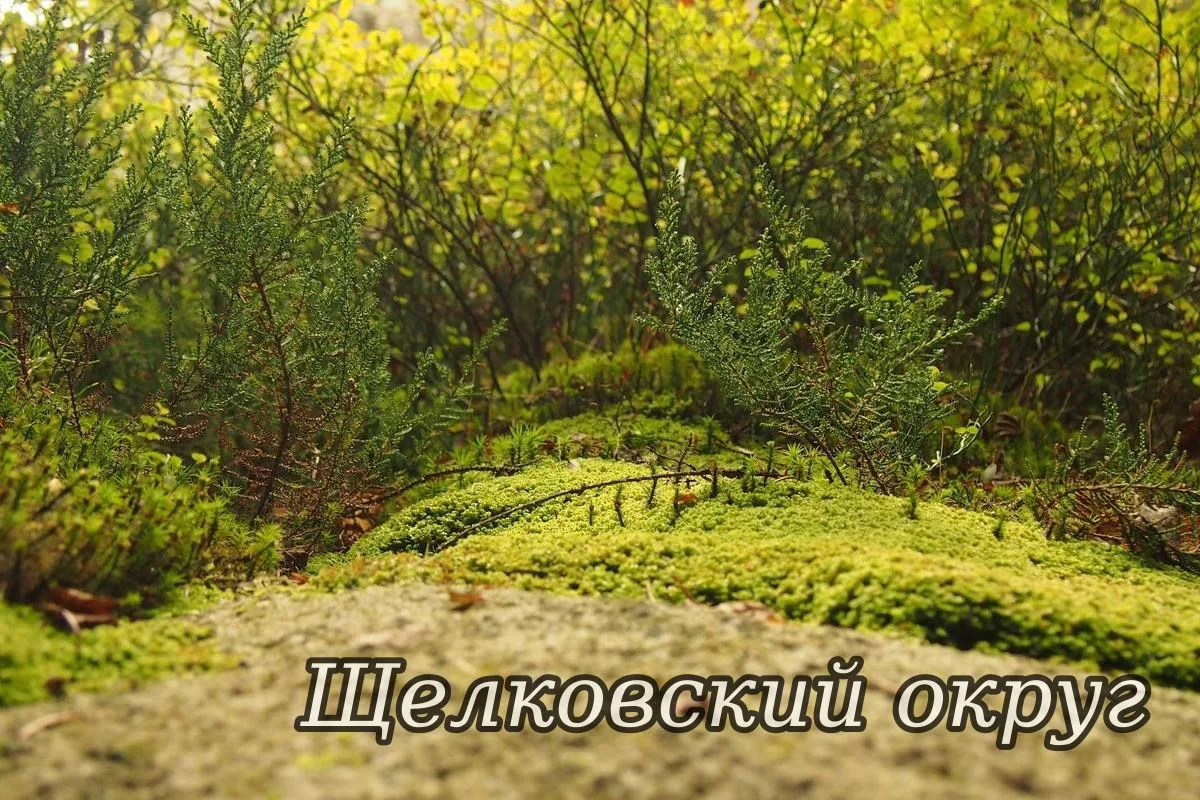 🗓 13.09.2026 года