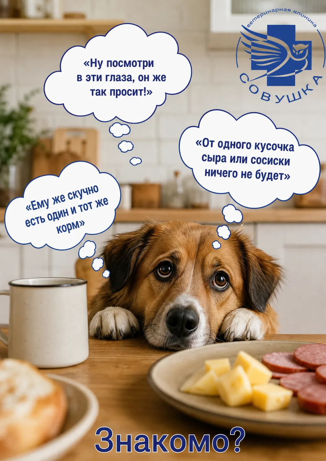 ‎«Очеловечивание». Почему кусочек со стола — это не любовь.