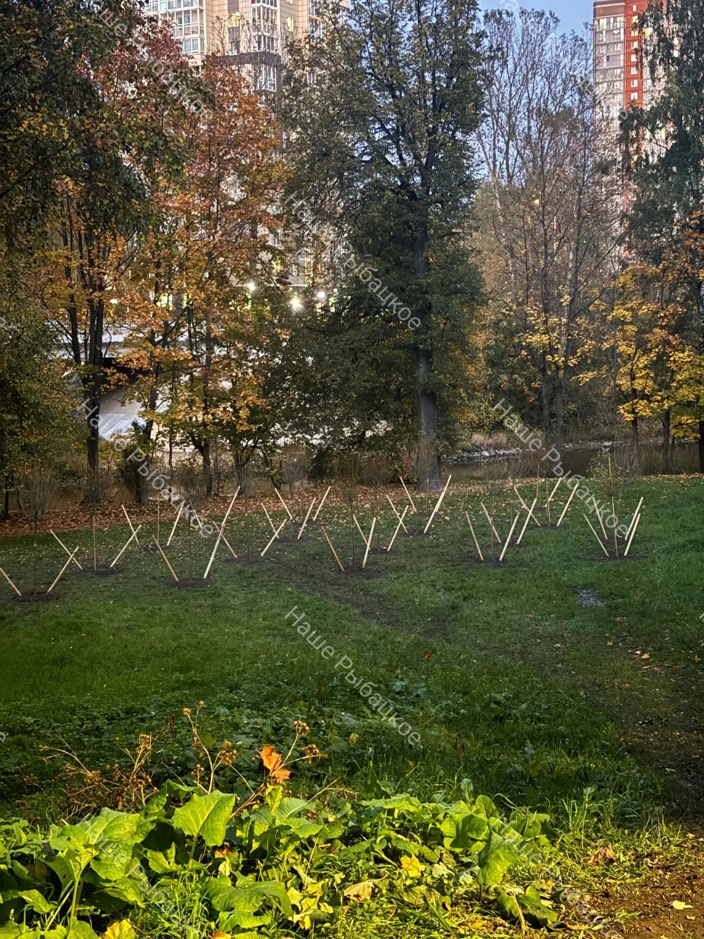 Рыбацкий проспект, 57.