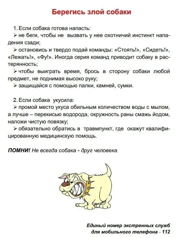 Школа БезОпасности