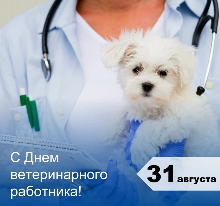 Сегодня свой профессиональный праздник отмечают ветеринарные работники – люди благородн...