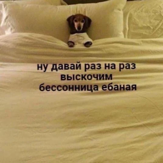 кто кого? 🤡