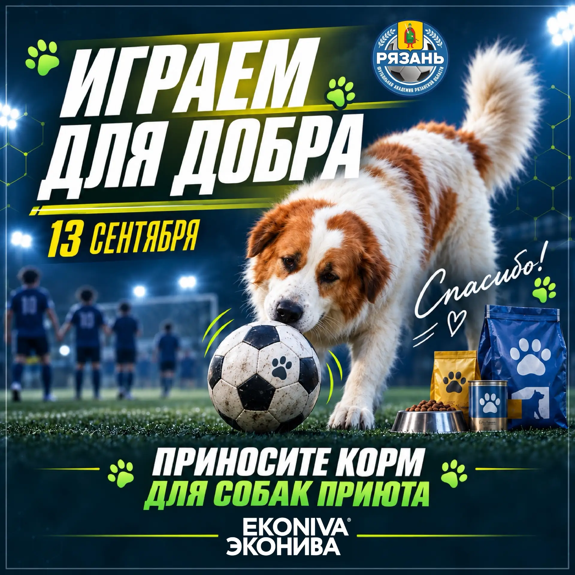⚽️ Выходи на поле вместе с нами — и помогай! 🐾